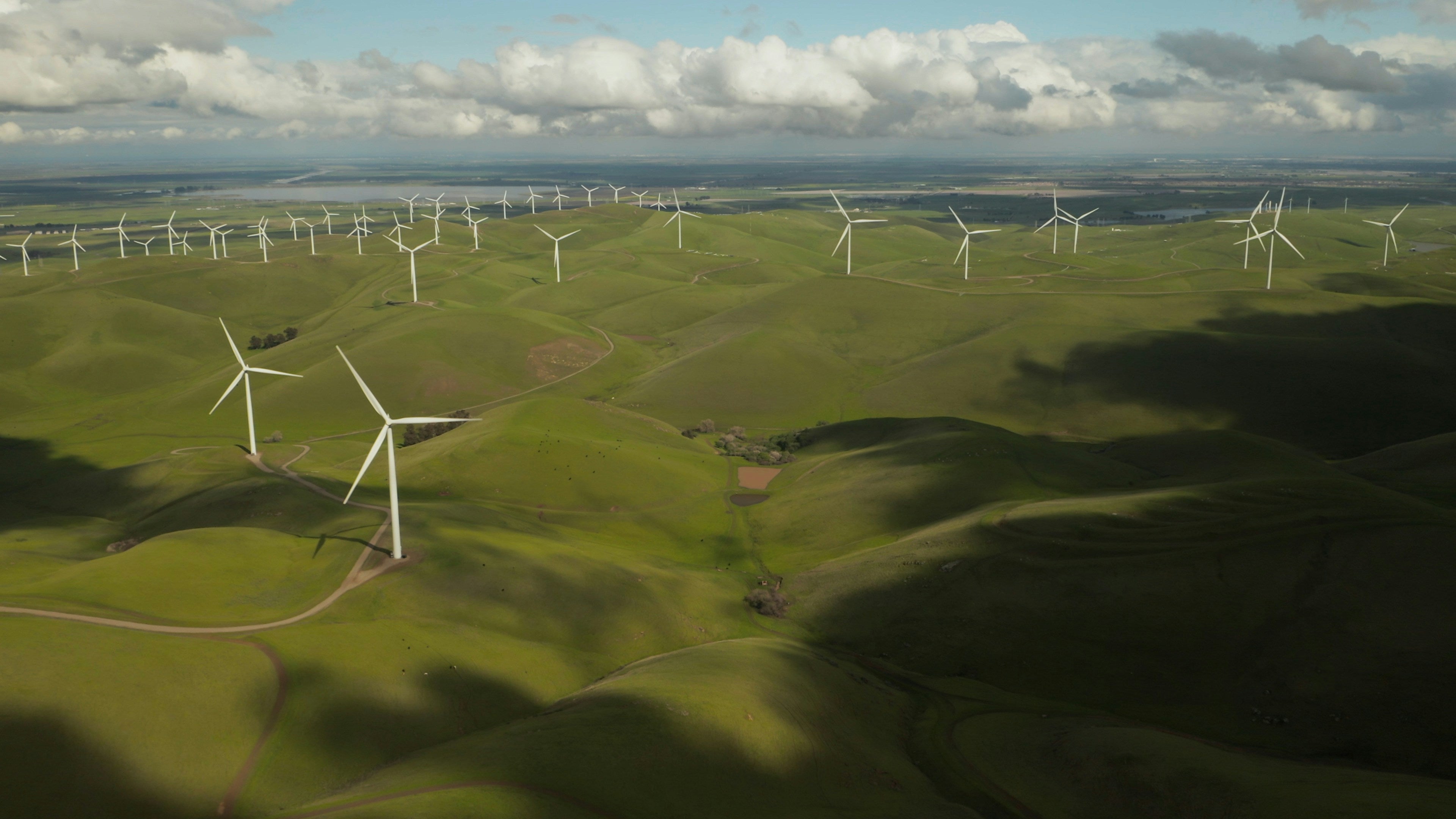 Wind turbines in a field | CozyU's commitment to sustainability